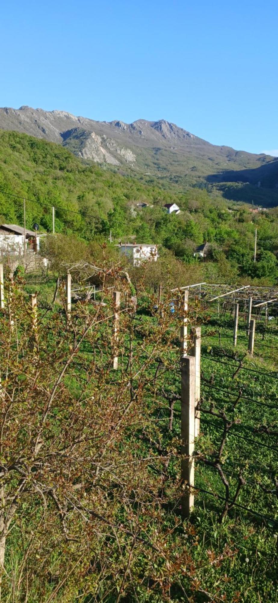 Etno House Mira Villa Virpazar Exterior photo