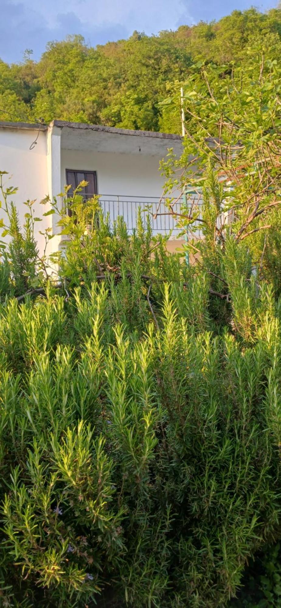 Etno House Mira Villa Virpazar Room photo